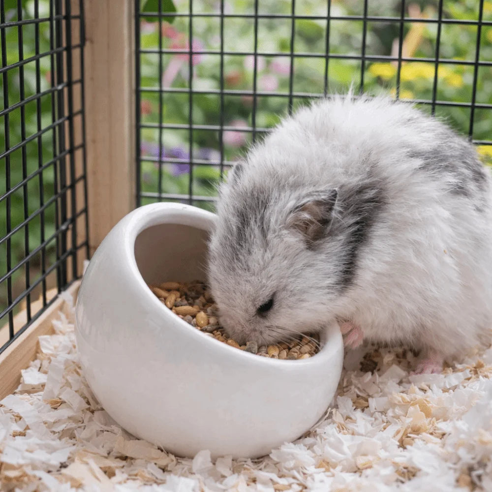 Ceramic Hamster Food Bowl Anti-Rollover Non-Slip Pet Feeding Bowl