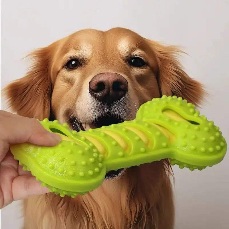 Rubber Dog Chew Toy with Squeaker