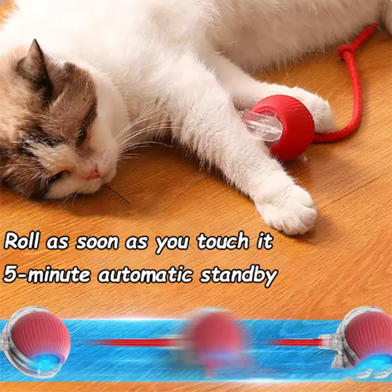 Hot Cat Toys Are Automatically Teasing Cat Balls and Self-Exciting