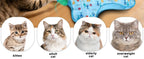 Home Companion Cat Anti-Cat Scratching Hiding Toy Hunting Cover