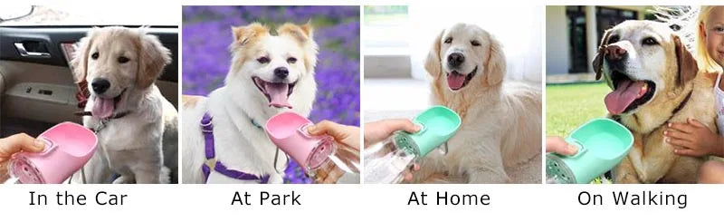 Leakproof Dog Water Bottle for Small & Large Breeds