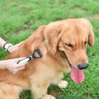 Pet Deshedding Brush Cat Comb Self Cleaning Hair Remover Grooming