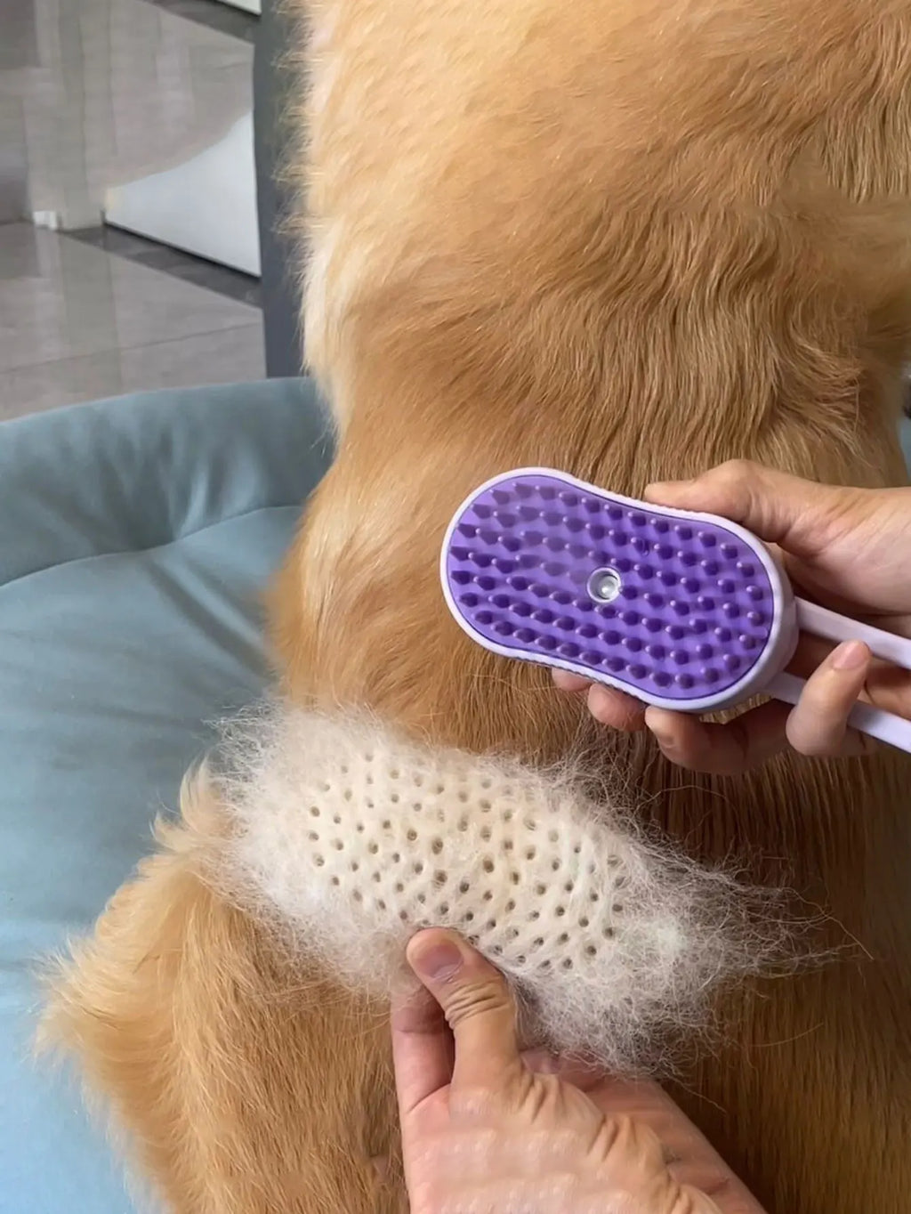 Pet Dog Steam Brush for Massage, Cleaning, Shedding and