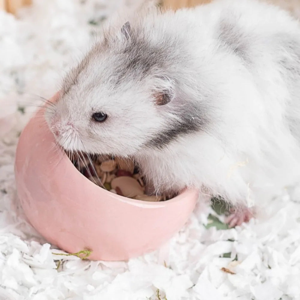 Ceramic Hamster Food Bowl Anti-Rollover Non-Slip Pet Feeding Bowl