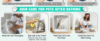 Professional Pet Dryer Box for Dogs Cats Fast Drying & Low Noise
