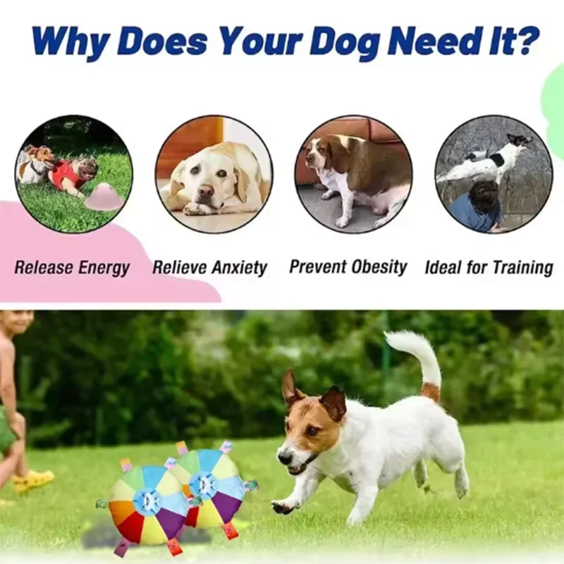 G1 Interactive Ball Toys with Grab Tabs Dog Bite Chew Balls Pets