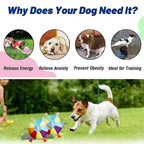 G1 Interactive Ball Toys with Grab Tabs Dog Bite Chew Balls Pets