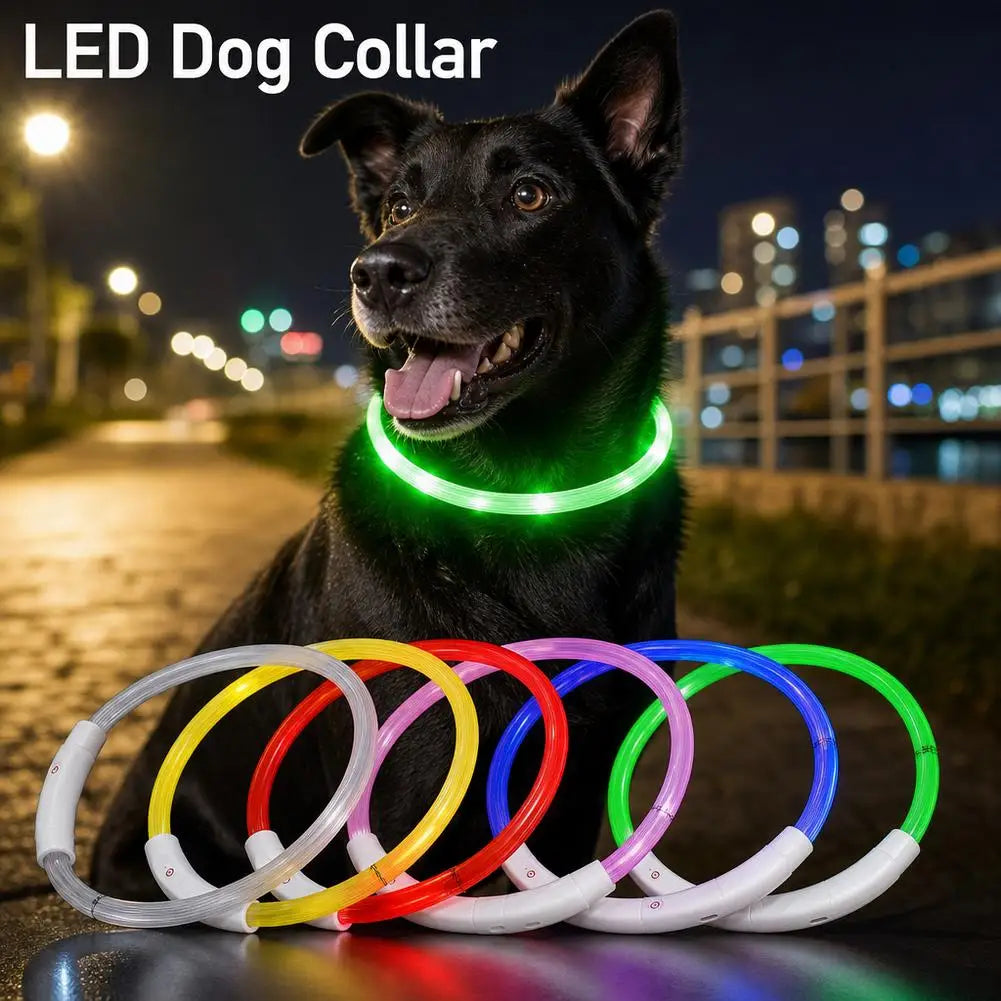 Luminous Pet Dog Collar Waterproof LED Dog Collar Rechargeable