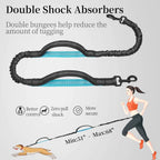 Adjustable Hands-Free Bungee Dog Leash