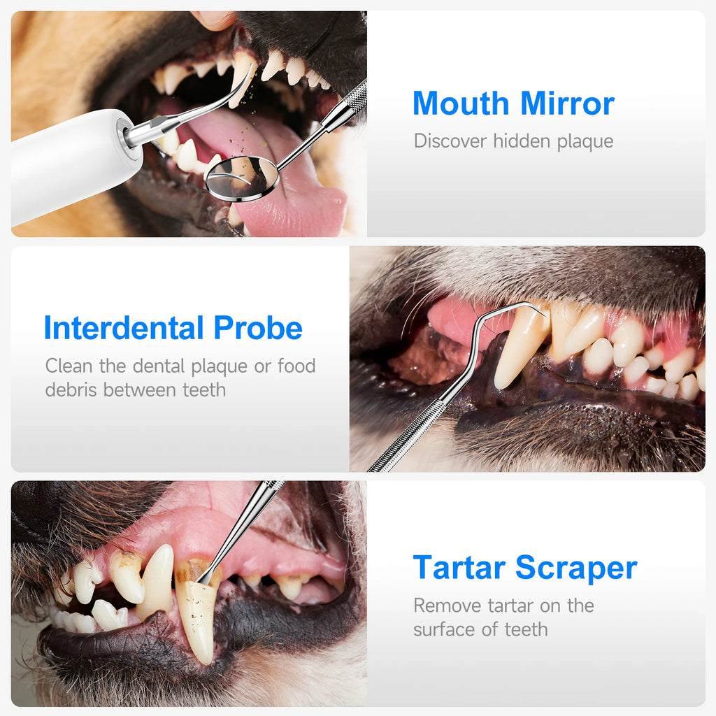Pet Electric Teeth Cleaner Dog Cat Ultrasonic Dental Scaler Plaque Calculus Tartar Stains Remover Tooth Whitening Oral Cleaning