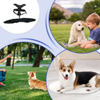 Orthopedic Brace for Dogs Pet Joint Hip Support Brace Adjustable
