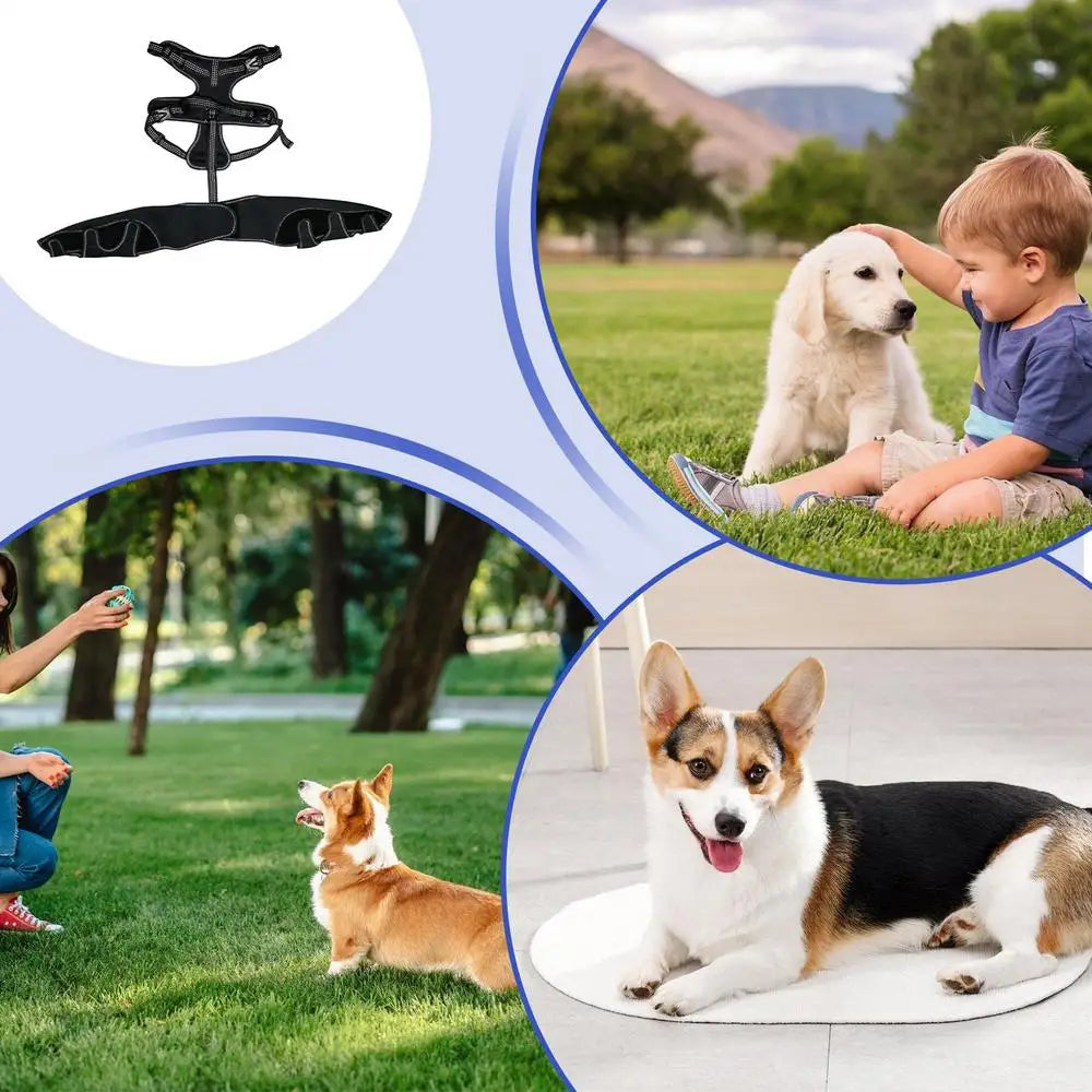 Orthopedic Brace for Dogs Pet Joint Hip Support Brace Adjustable