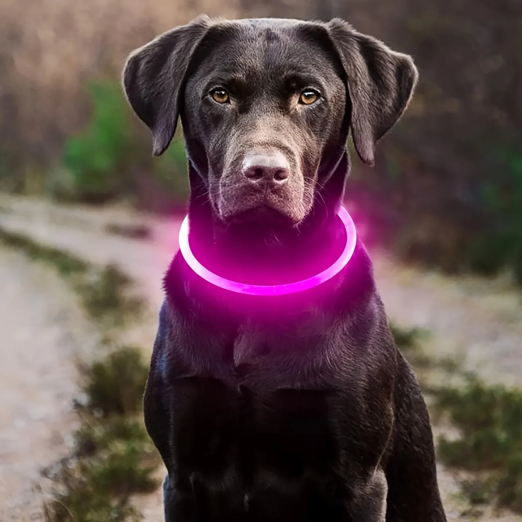 USB Rechargeable Fiber Optic Collar Pet Dog LED Light Collar