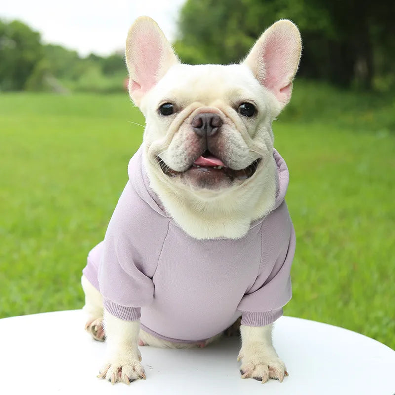 Autumn Winter Pet Dog Hoodies Warm Coat Sweater Small Medium Dog
