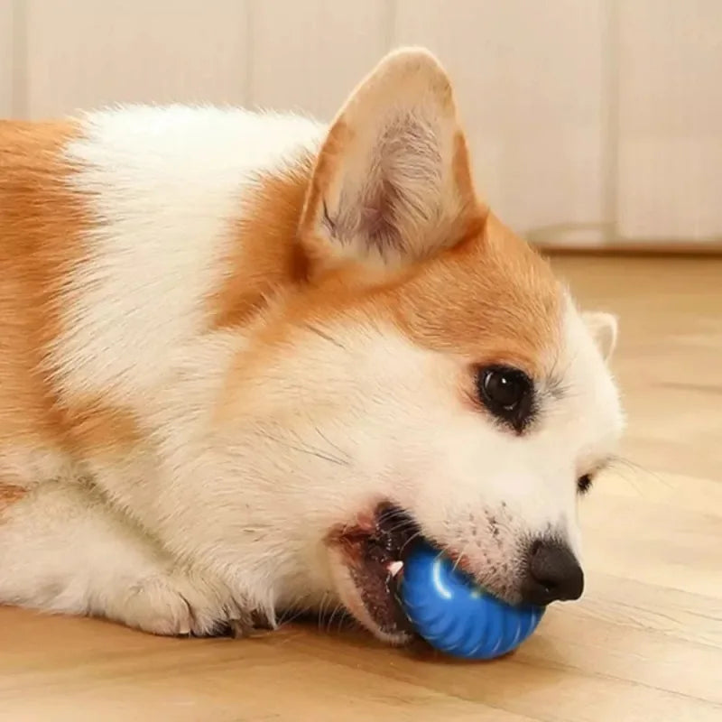 Dog Toy Ball Automatic Moving Bouncing Rolling Ball USB Smart