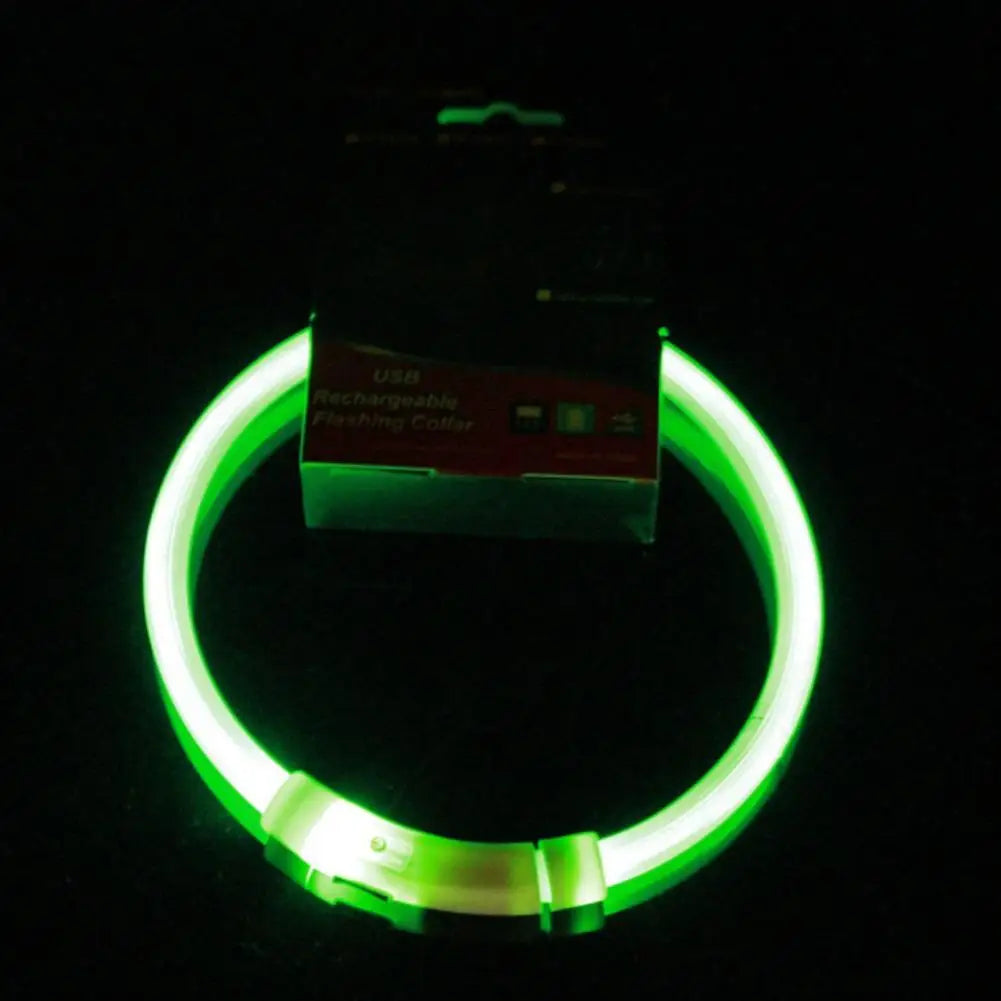 Luminous Pet Dog Collar Waterproof LED Dog Collar Rechargeable