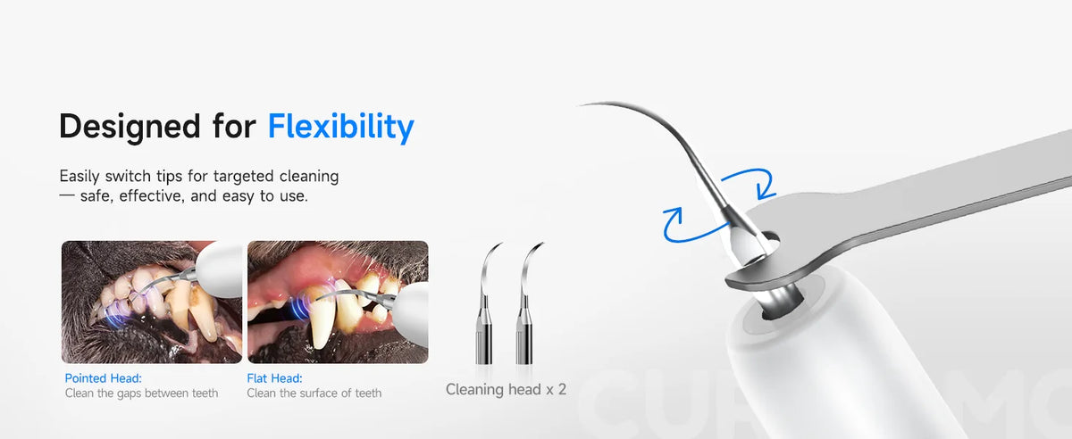 Pet Electric Teeth Cleaner Dog Cat Ultrasonic Dental Scaler Plaque Calculus Tartar Stains Remover Tooth Whitening Oral Cleaning