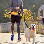 Adjustable Hands-Free Bungee Dog Leash