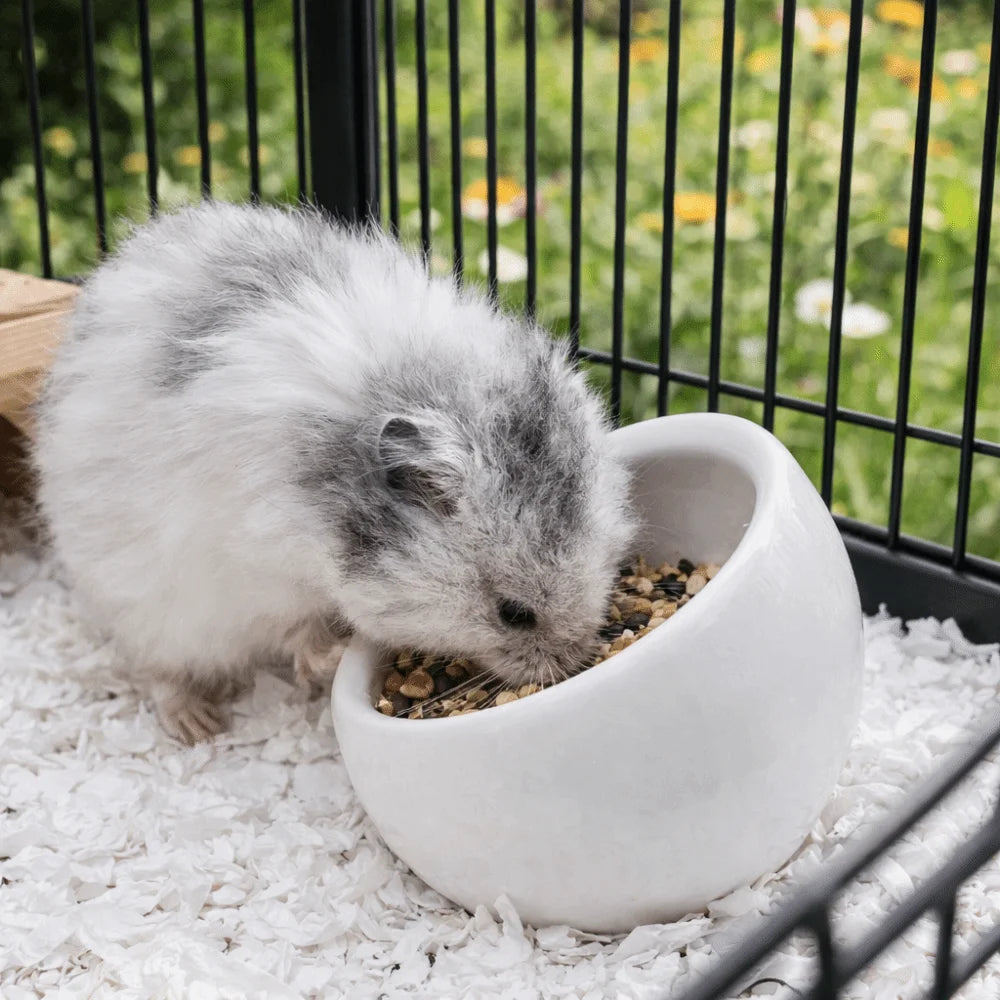 Ceramic Hamster Food Bowl Anti-Rollover Non-Slip Pet Feeding Bowl