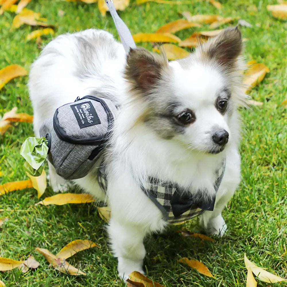 Portable Dog Waste Bag Dispenser & Holder