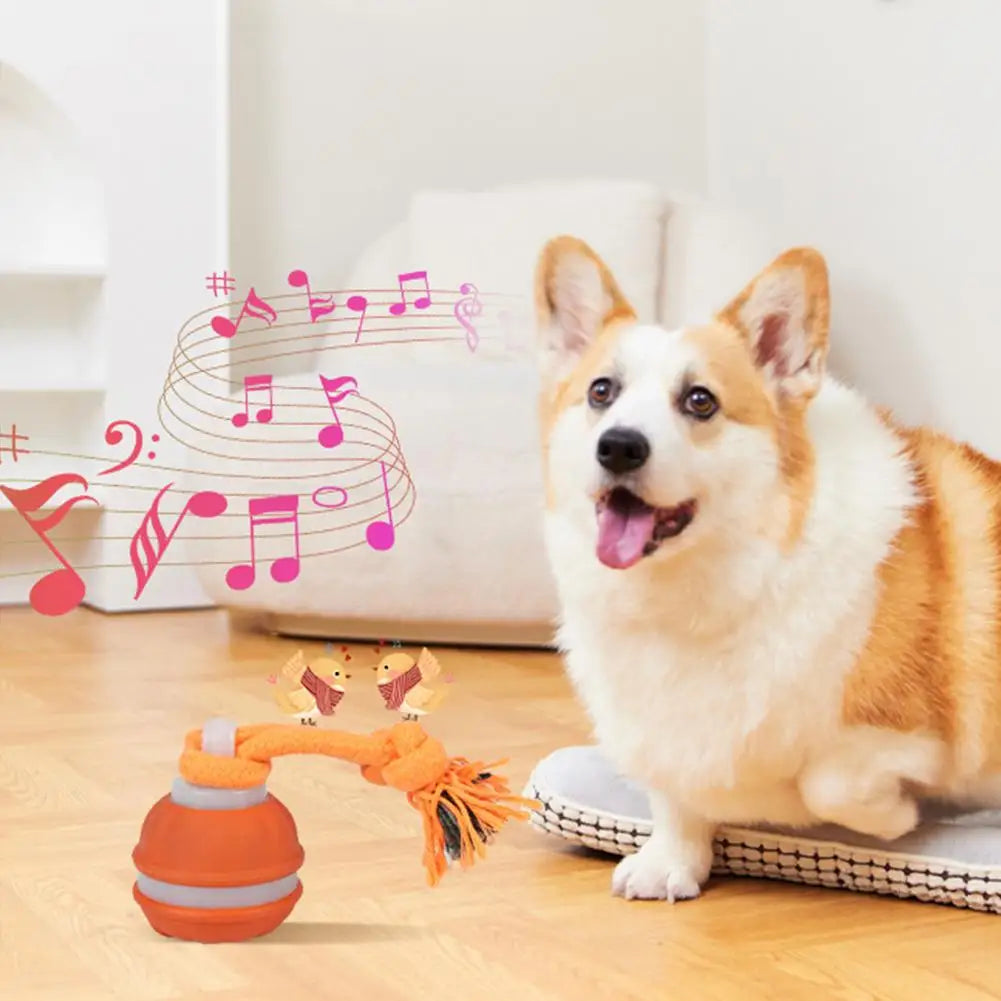 Pet Ball Interactive Toys for Dogs Motion Activate Rolling Ball