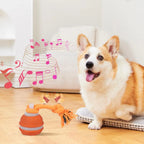 Pet Ball Interactive Toys for Dogs Motion Activate Rolling Ball