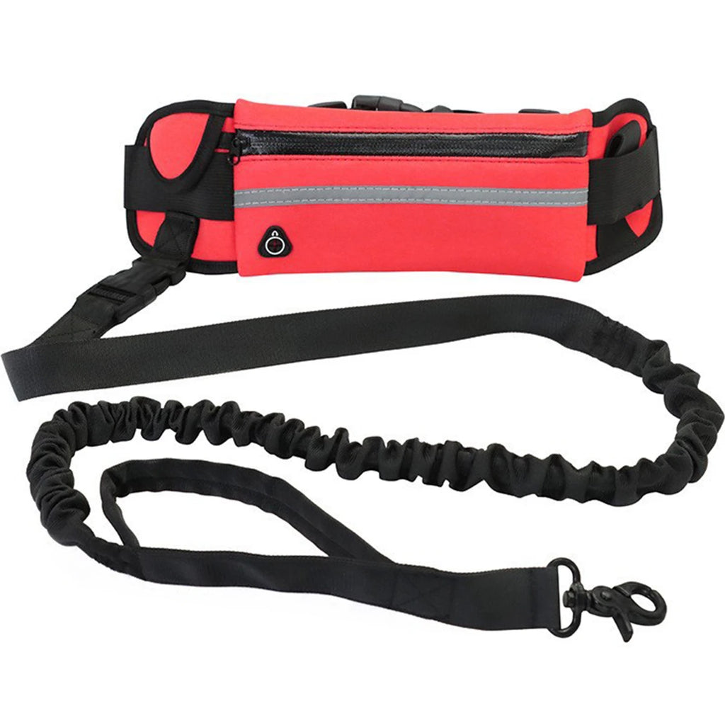 Adjustable Hands-Free Bungee Dog Leash