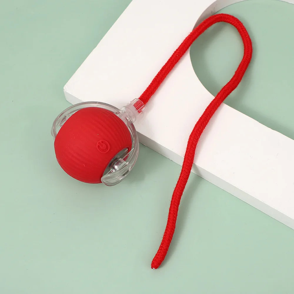 Smart Rolling Ball Cat Toy Interactive Self Play Bite Resistant