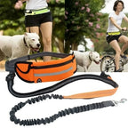 Adjustable Hands-Free Bungee Dog Leash