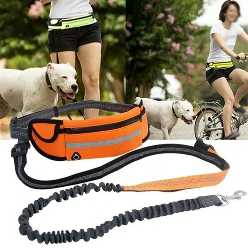 Adjustable Hands-Free Bungee Dog Leash