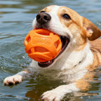 كرات مضغ مقاومة للعض للكلاب