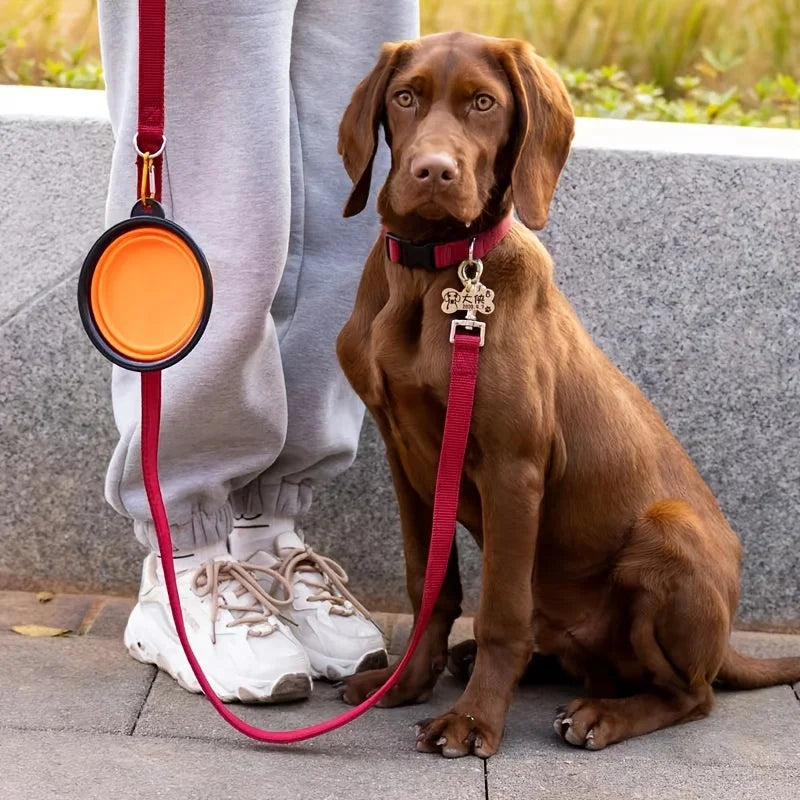 Portable Collapsible Pet Bowl