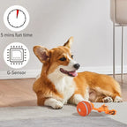 Pet Ball Interactive Toys for Dogs Motion Activate Rolling Ball