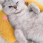 Cat Small Pillow Super Soft Half Donut Pet Calming Toy Joint