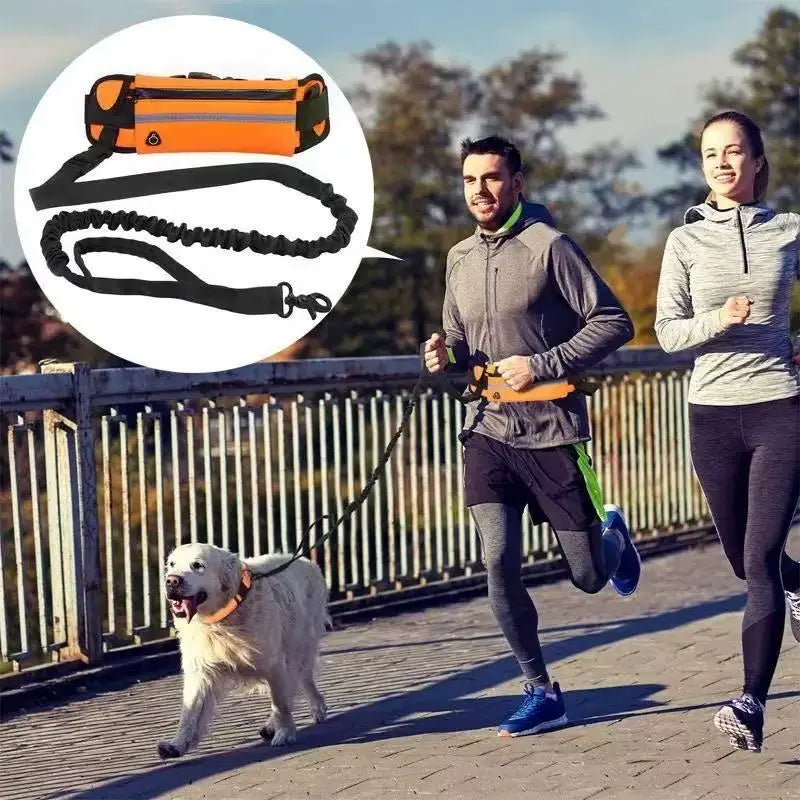 Adjustable Hands-Free Bungee Dog Leash