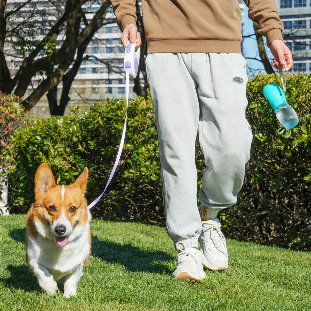 Pet Dog Water Bottle 300Ml Puppy Drinking Bowls For Small Medium