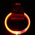Luminous Pet Dog Collar Waterproof LED Dog Collar Rechargeable