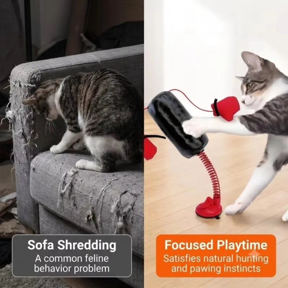 Suction Cup Base Cat Boxing Toy Self-Standing Spring Loaded Pet