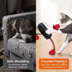 Suction Cup Base Cat Boxing Toy Self-Standing Spring Loaded Pet