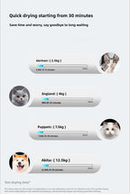 Fully Automatic Smart Pet Drying Box Large Capacity Pet Smart