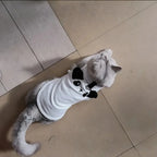 New Soft Cat Vest Cotton Elastic Dog Outfits Breathable Pet Cloths