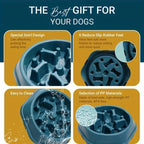 Dog Slow Feeder Bowl Anti-Choking Food Bowl for Dogs Slow Eating