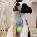 Dog Chew Toy Squeaky Silicone Beer Bottle with Tennis Ball