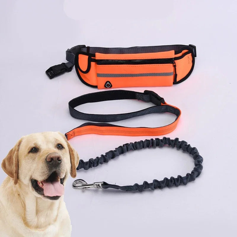 Adjustable Hands-Free Bungee Dog Leash