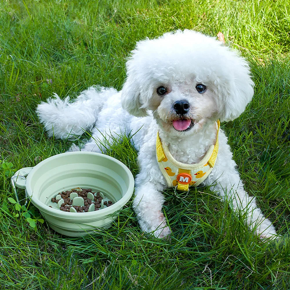 Collapsible Pet Bowl Outdoor Portable: Silicone Slow Feeder Bowl