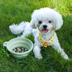 Collapsible Pet Bowl Outdoor Portable: Silicone Slow Feeder Bowl