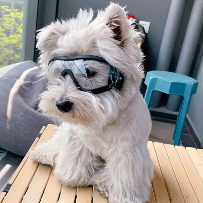 Transparent Color Pet Dog Goggles Waterproof Windproof Sunscreen