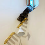 Cat Climbing Stairs Wall Mounted Steps Made of Wood and Sisal Rope