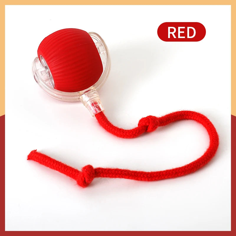 New Electric Cat Ball Toys Automatic Rolling Ball with Teaser Bird