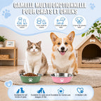 New Stainless Steel Dog Basin Paw Print